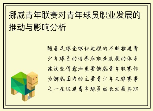 挪威青年联赛对青年球员职业发展的推动与影响分析